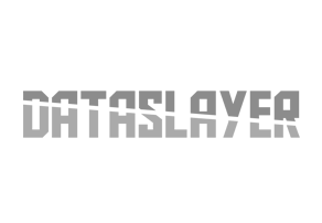 Dataslayer